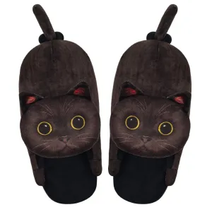 Black cat slippers