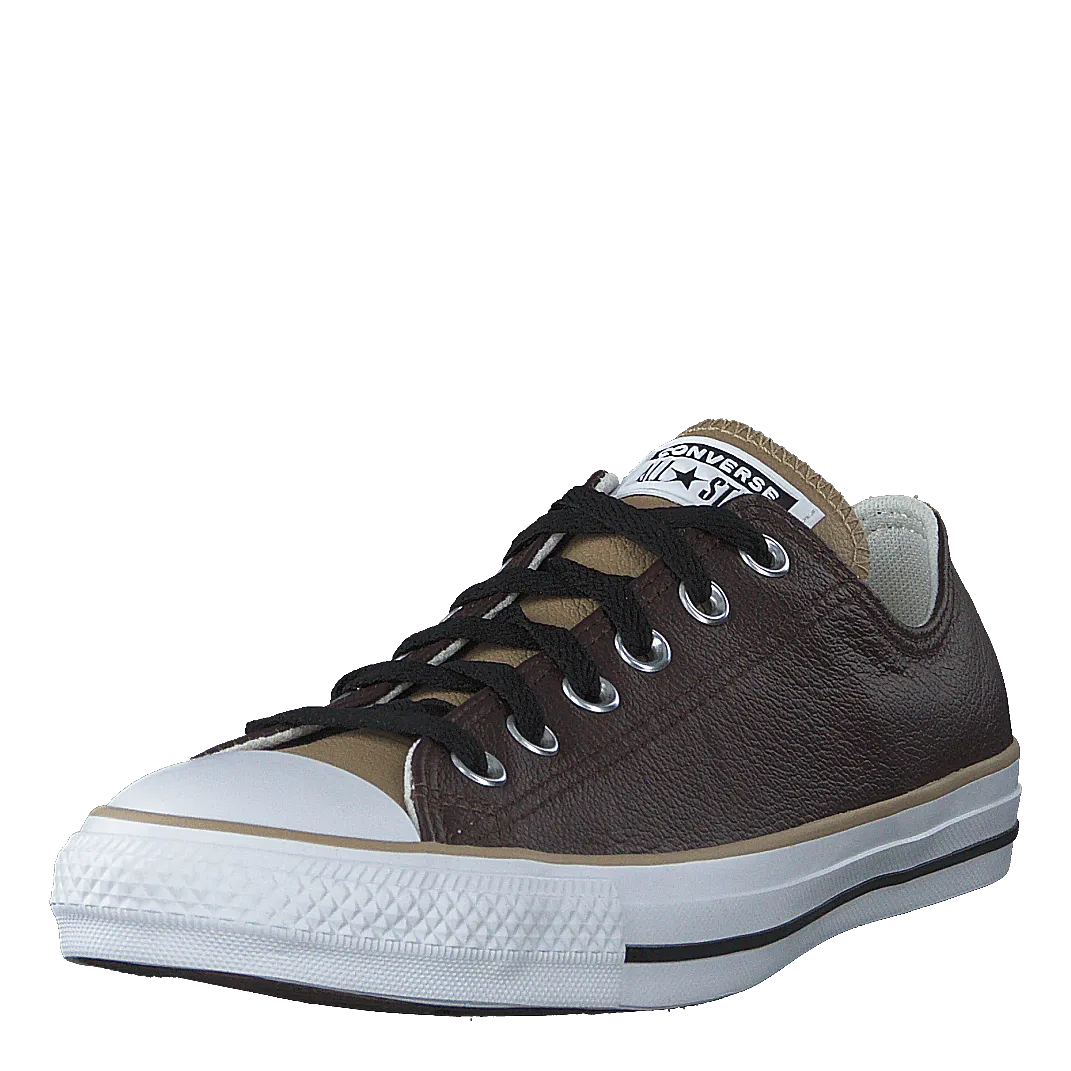 Chuck Taylor All Star Dark Root/nomad Khaki/white