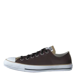 Chuck Taylor All Star Dark Root/nomad Khaki/white